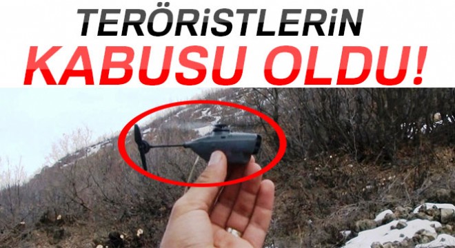  Eşek arısı  teröristlerin kabusu oldu