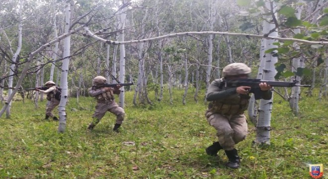 13 PKK/YPG li terörist etkisiz hale getirildi