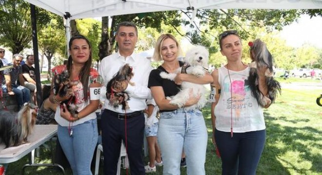 150 köpek yarıştı