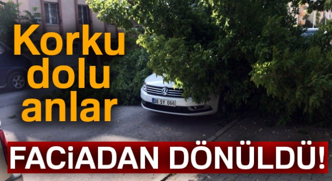 Ağacın dalları lüks aracın üzerine devrildi