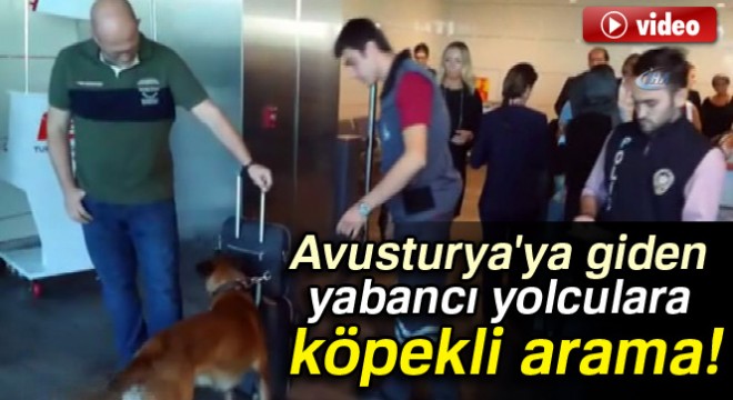 Avusturya ya giden yabancı yolculara köpekli arama!