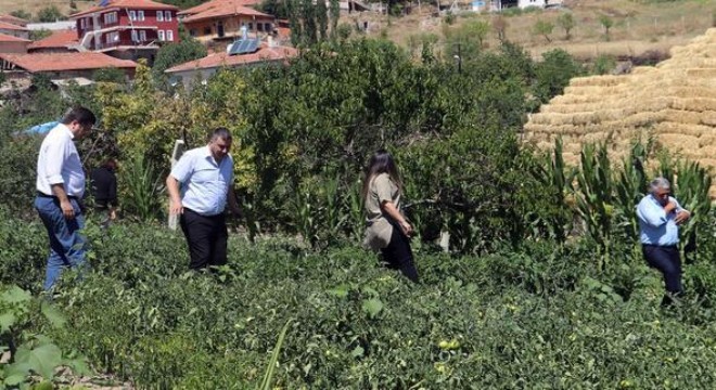 Bağlumlu üretecek belediye satacak