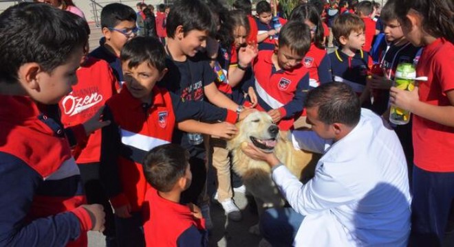 Barınakta hayvan sevgisi aşısı