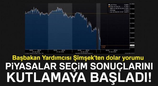 Başbakan Yardımcısı Şimşek ten dolar yorumu