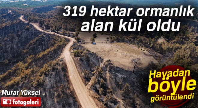 Çanakkale’de yanan orman alanları ilk kez drone ile görüntülendi