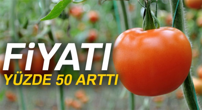 Domatesin fiyatı yüzde 50 arttı