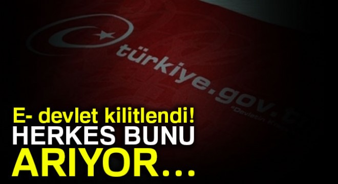 E- devlet kilitlendi! Herkes bunu arıyor…