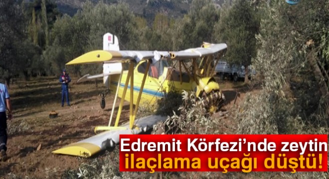 Edremit Körfezi nde zeytin ilaçlama uçağı düştü!