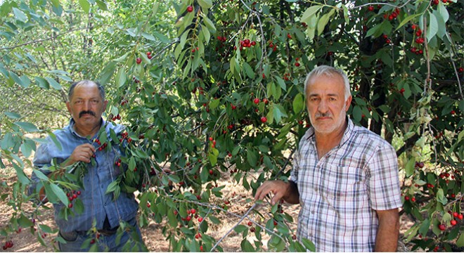 Haber olunca işleri düzeldi