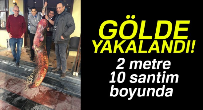 İznik Gölü’nden 2 metre 10 santim boyunda dev yayın balığı çıktı