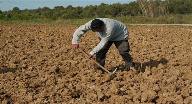 Kırsal Kalkınma Yatırımlarını Destekleme Programı başvuruları devam ediyor