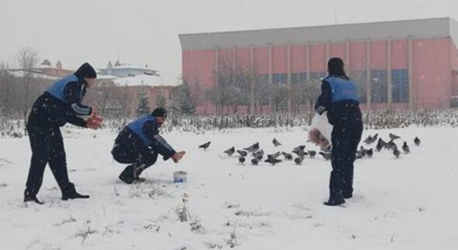 Mahlukata şefkat berekettir