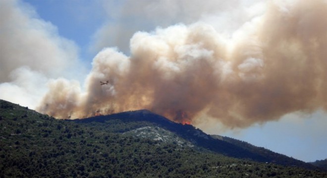 Marmaris te orman yangını