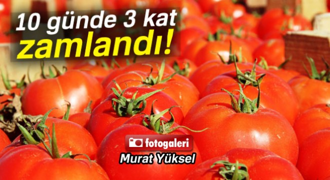 Meşhur Çanakkale domatesi 10 günde 3 kat zamlandı