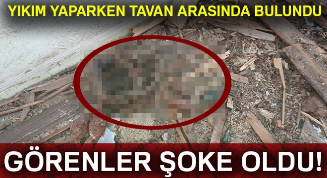 Metruk bir binada tavan arasına gizlenmiş patlamamış el bombaları bulundu