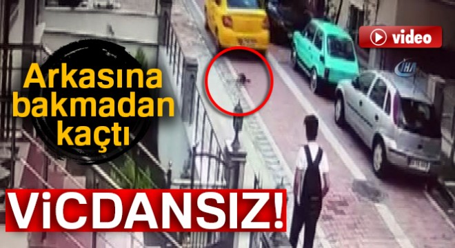 Minik köpeği ezen taksi şoförünün ardına bakmadan kaçması kamerada