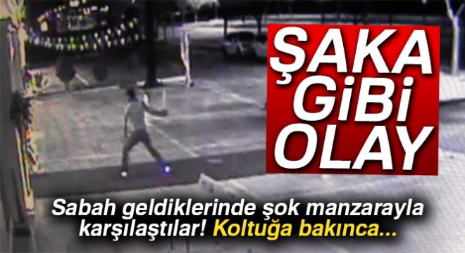 Ortalığı savaş alanına çeviren şahıs sızdığı koltukta gözaltına alındı