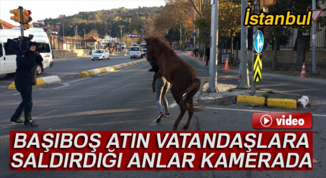 Sarıyer de başıboş atın vatandaşlara saldırdığı anlar kamerada