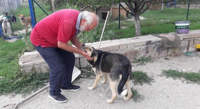 Sokak köpeklerinin can dostu