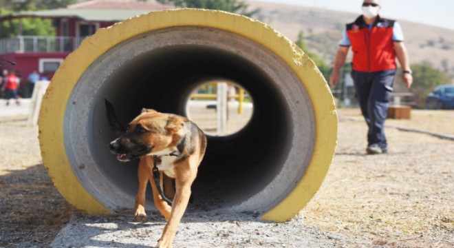 Türkiye’yi bu ekip kurtaracak