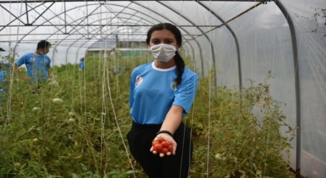 Tuzlalı çocuklar, kendi elleriyle ektikleri sebzeleri ihtiyaç sahiplerine teslim etti