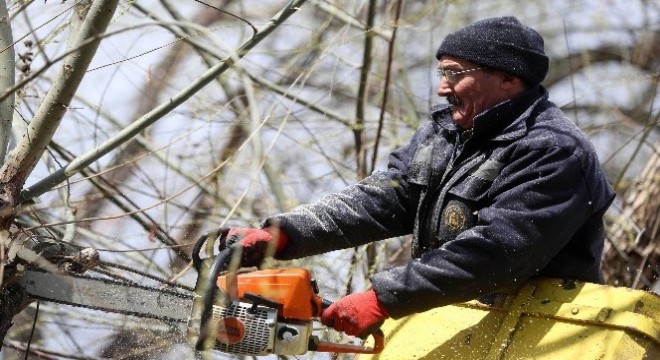 Yenimahalle’de budama zamanı