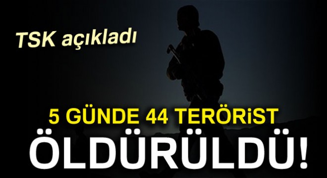 Zap ta 5 günde 44 terörist öldürüldü!