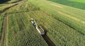 IPARD’dan Kırsala 1,7 Milyar Liralık Destek