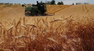TARSİM, Üreticilere 3,15 Milyar Lira Ödeme Yaptı