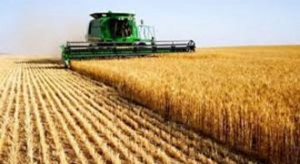 Tarım ÜFE Kasımda Yıllık Bazda Yüzde 31’in Üzerine Çıktı