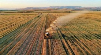 Tarımda girdi maliyetleri ağustosta yıllık yüzde 30,28 arttı